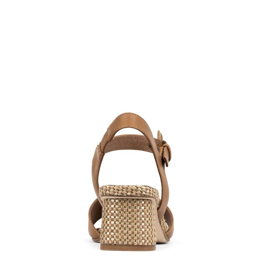 Donald Pliner Casual | AARO At Donald Pliner Saddle - Women