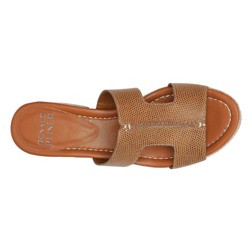 Donald Pliner Casual | DISCO At Donald Pliner Saddle - Women