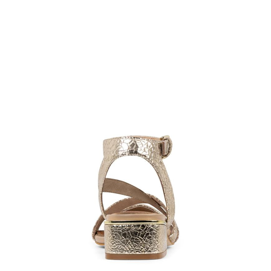 Donald Pliner Casual | FRANNIE At Donald Pliner Platino - Women