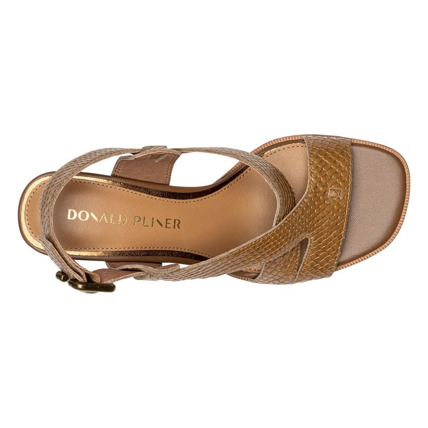 Donald Pliner Casual | VLORA At Donald Pliner Saddle - Women