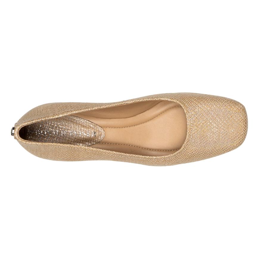 Donald Pliner Dress | DREWW At Donald Pliner Sand Snake - Women